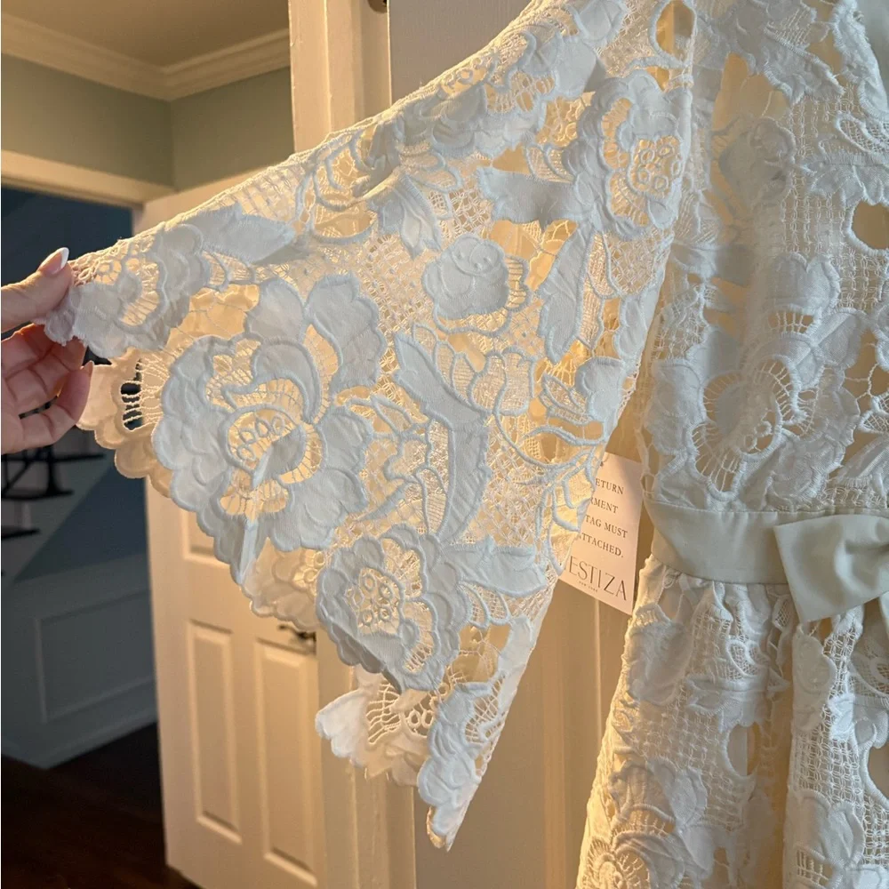 NWT Mestiza Ivory Lace Dress Size 2 NEW - Picture 5 of 10